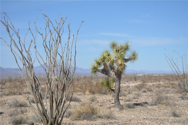 G12 S Rainbow Rd, Yucca, AZ 86438