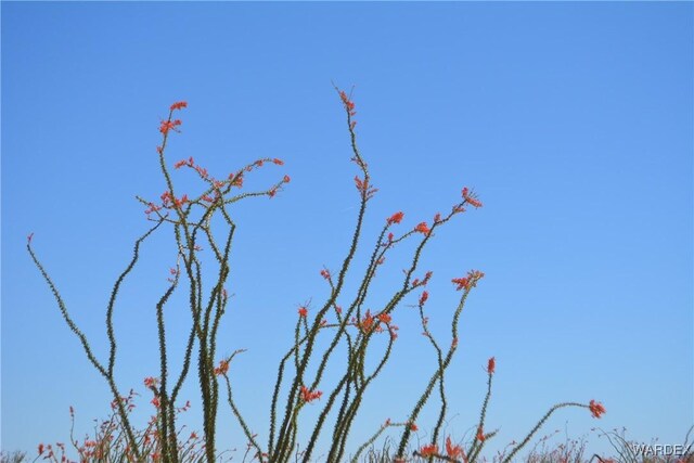 G12 S Rainbow Rd, Yucca, AZ 86438