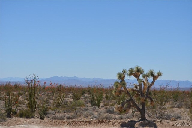 G12 S Rainbow Rd, Yucca, AZ 86438