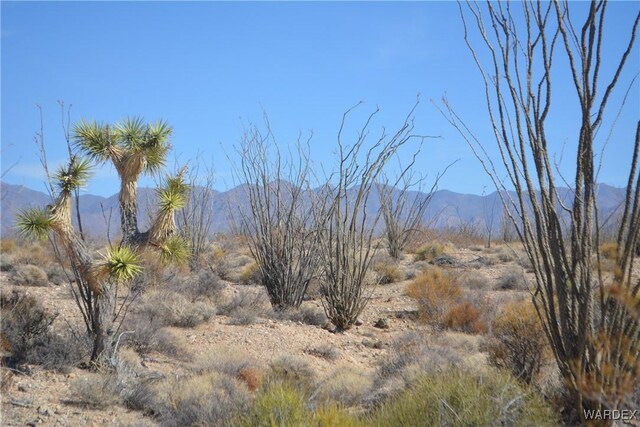 G12 S Rainbow Rd, Yucca, AZ 86438