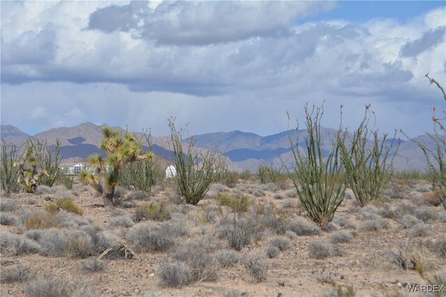 G12 S Rainbow Rd, Yucca, AZ 86438