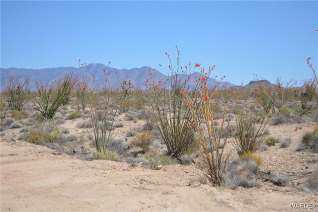 G12 S Rainbow Rd, Yucca, AZ 86438