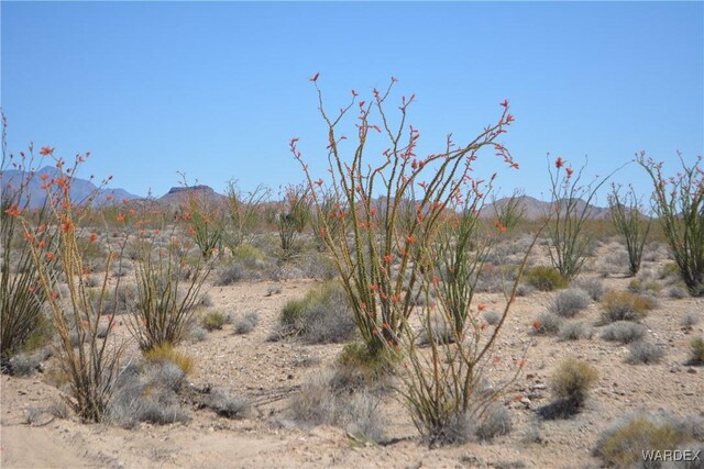 G12 S Rainbow Rd, Yucca, AZ 86438