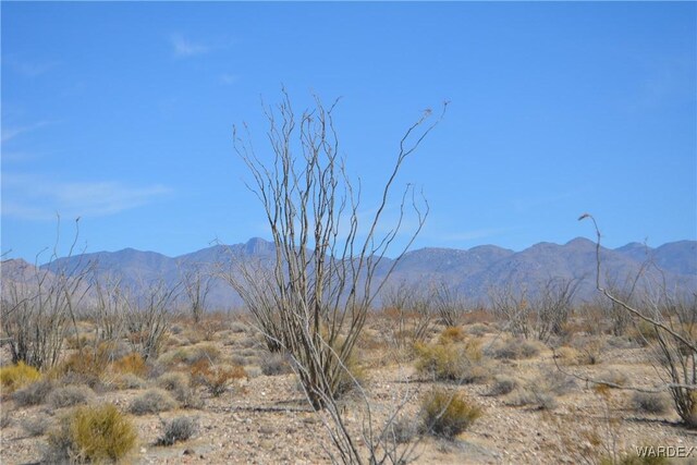 G12 S Rainbow Rd, Yucca, AZ 86438