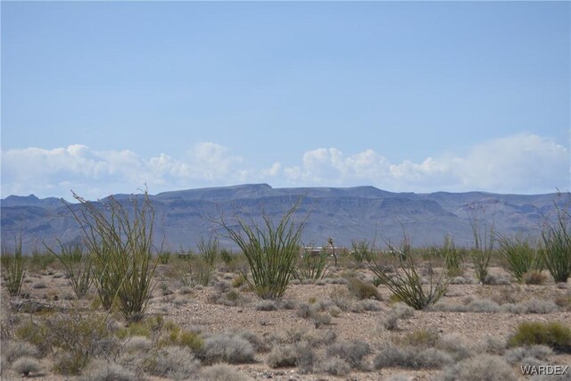 G12 S Rainbow Rd, Yucca, AZ 86438