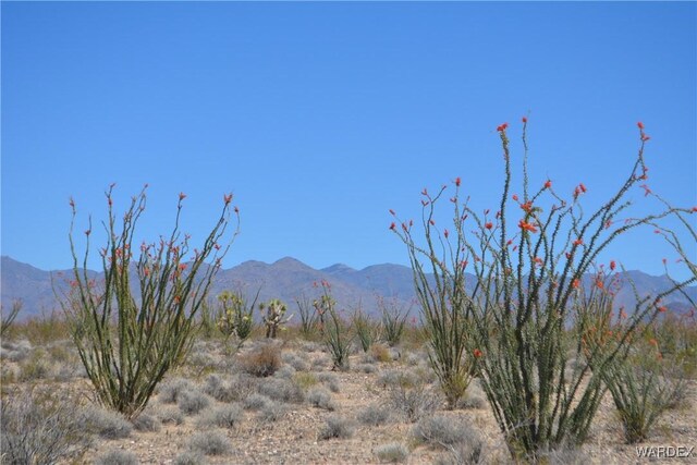 G12 S Rainbow Rd, Yucca, AZ 86438