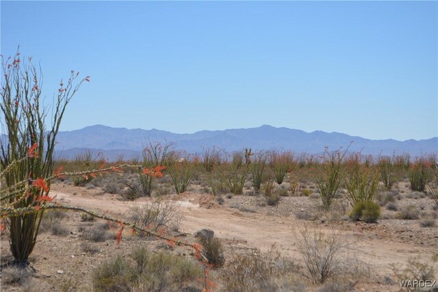 G12 S Rainbow Rd, Yucca, AZ 86438