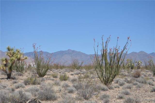 G12 S Rainbow Rd, Yucca, AZ 86438