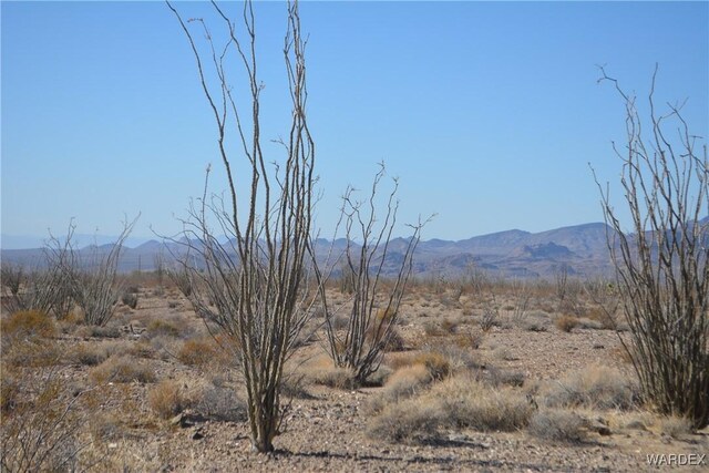 G12 S Rainbow Rd, Yucca, AZ 86438