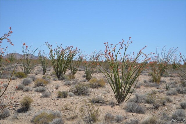 G12 S Rainbow Rd, Yucca, AZ 86438