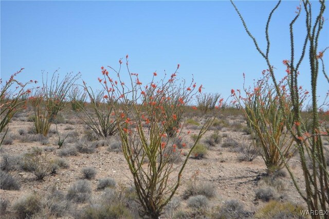 G12 S Rainbow Rd, Yucca, AZ 86438