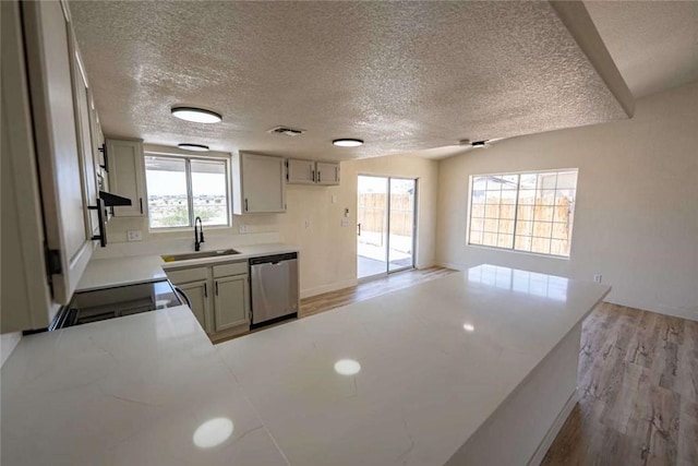1925 E Ln Entrada Pl, Fort Mohave, AZ 86426 - kitchen with stainless steel dishwasher, light wood finished floors, light countertops, range with electric cooktop, and a textured ceiling
