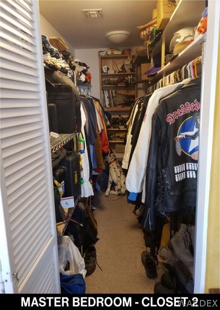 spacious closet featuring carpet floors