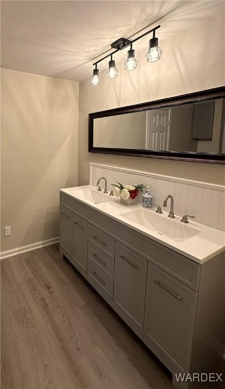 bathroom with wood finished floors, a sink, rail lighting, and double vanity