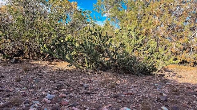 176 N Willows Ranch Rd, Kingman, AZ 86401