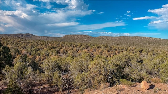 176 N Willows Ranch Rd, Kingman, AZ 86401