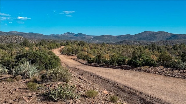 176 N Willows Ranch Rd, Kingman, AZ 86401