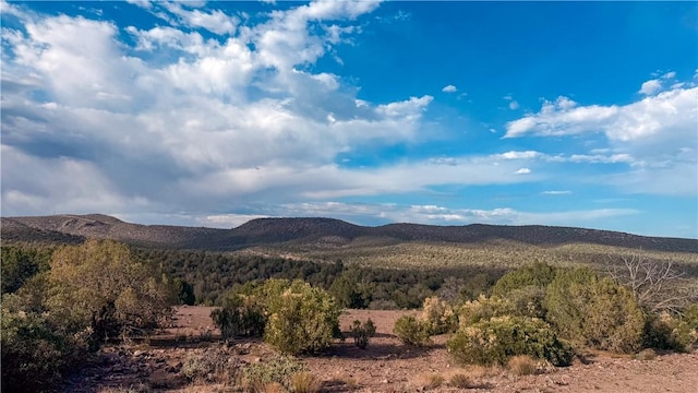 176 N Willows Ranch Rd, Kingman, AZ 86401