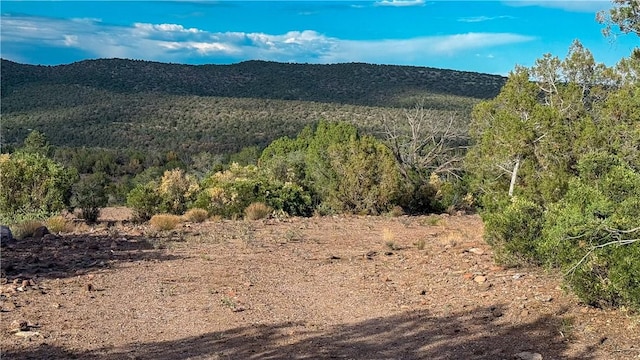 176 N Willows Ranch Rd, Kingman, AZ 86401 - photo 48