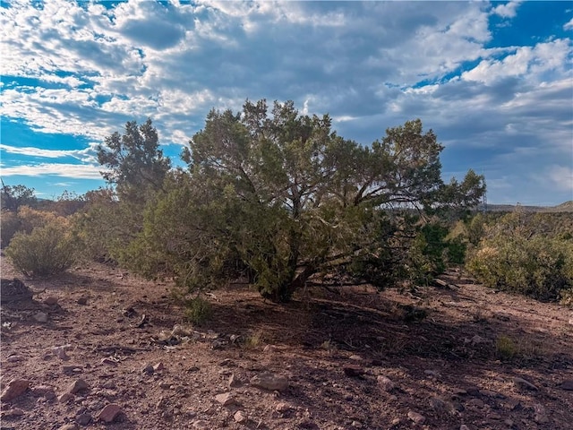 176 N Willows Ranch Rd, Kingman, AZ 86401