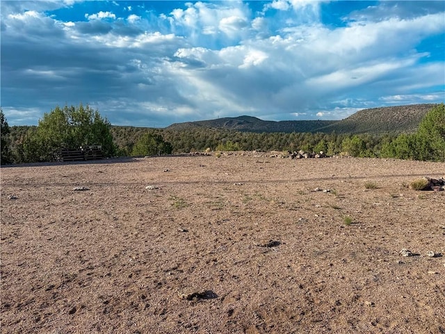 176 N Willows Ranch Rd, Kingman, AZ 86401