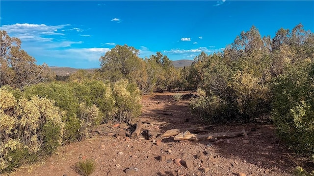 176 N Willows Ranch Rd, Kingman, AZ 86401