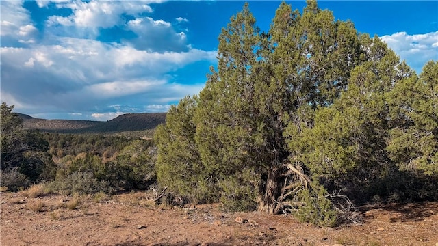 176 N Willows Ranch Rd, Kingman, AZ 86401