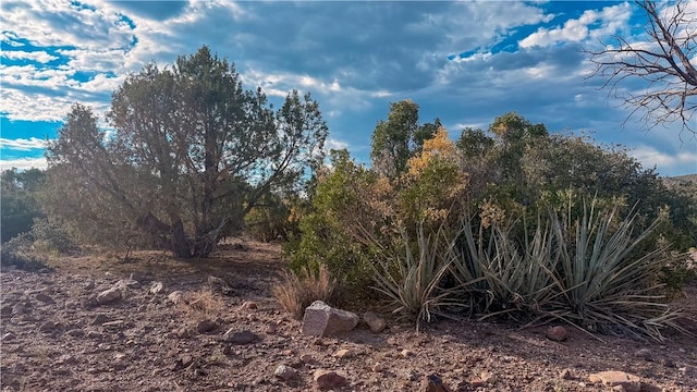 176 N Willows Ranch Rd, Kingman, AZ 86401