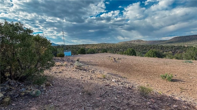 176 N Willows Ranch Rd, Kingman, AZ 86401