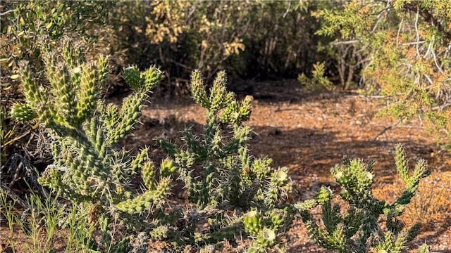176 N Willows Ranch Rd, Kingman, AZ 86401