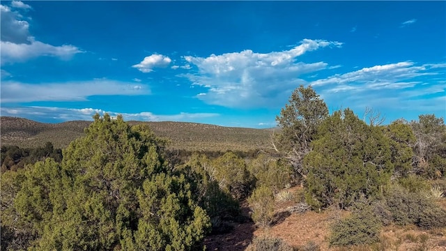 176 N Willows Ranch Rd, Kingman, AZ 86401