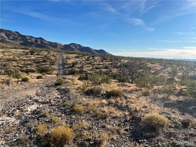 328-04-424 N Mariposa Dr, Dolan Springs AZ, 86441 land for sale