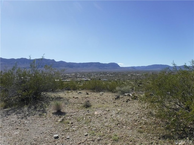 780 W Silver Crk, Meadview AZ, 86444 land for sale