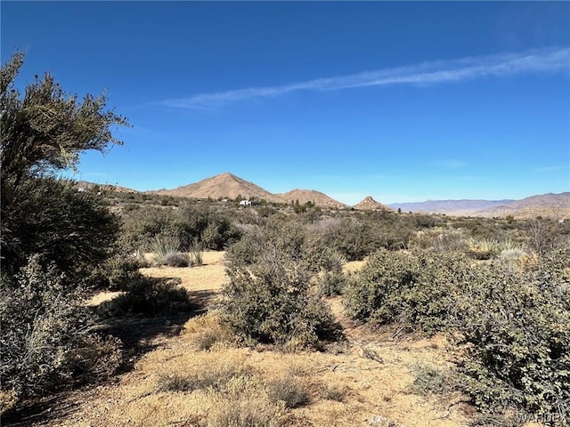 0 Frerichs Ranch Rd, Hackberry AZ, 86411 land for sale