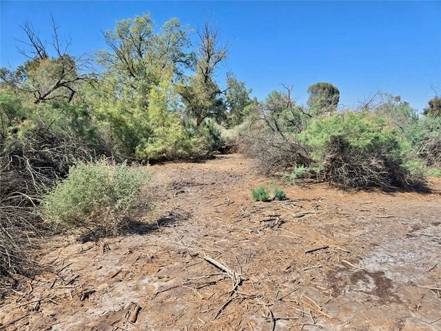 8923 S Mountain View Rd, Mohave Valley, AZ 86440