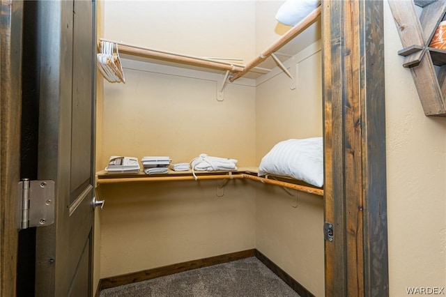 walk in closet featuring dark colored carpet