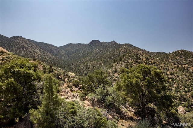 3206 S Saddletree Ct, Kingman, AZ 86401 - photo 76