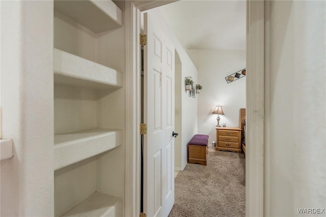 2355 Morningside Dr, Bullhead City, AZ 86442 - hall featuring carpet floors and baseboards