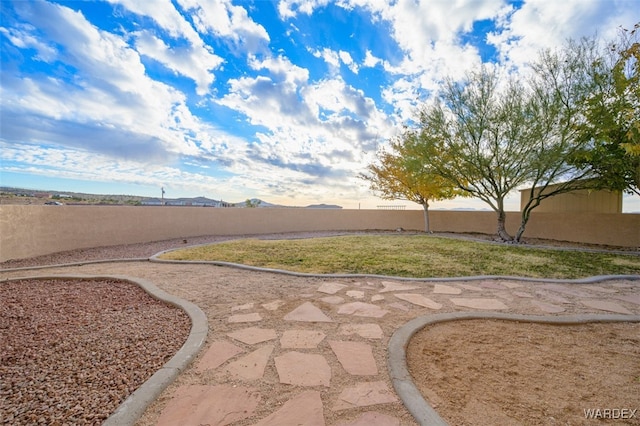 view of yard with a fenced backyard