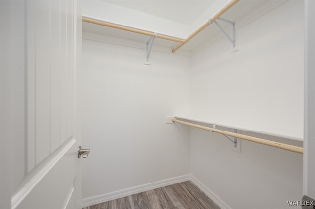 walk in closet featuring wood finished floors