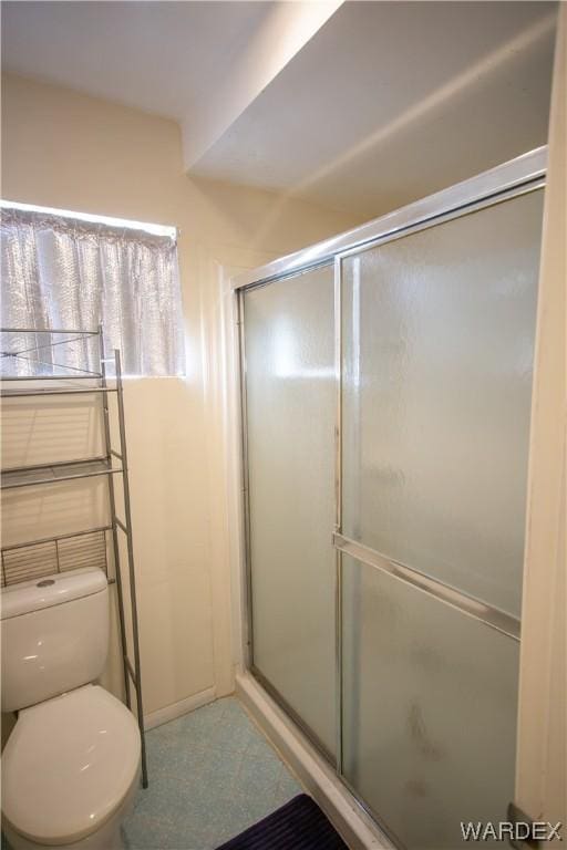 full bathroom featuring toilet and a shower stall
