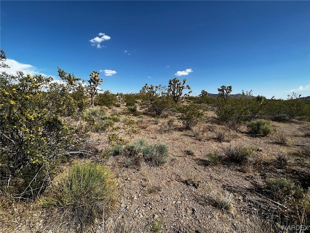 8900 W Vista Verde Dr, White Hills AZ, 86445 land for sale