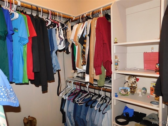 view of spacious closet