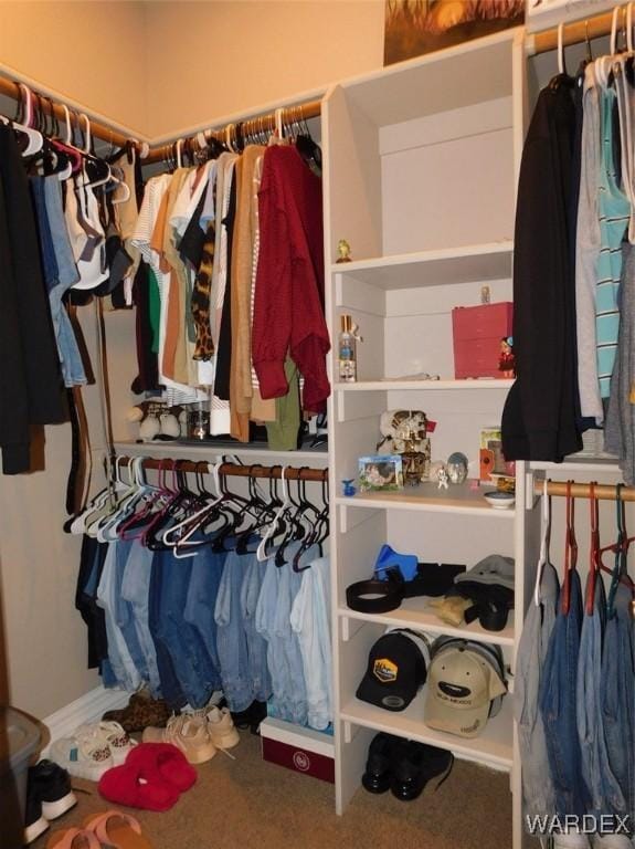 view of walk in closet