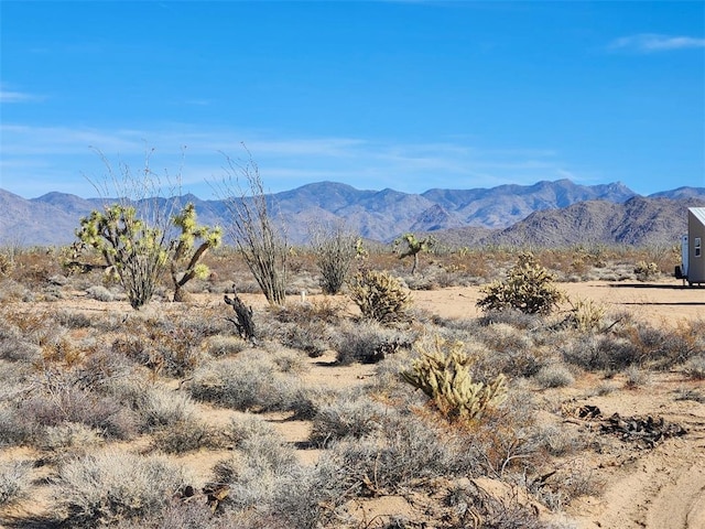 16858 S Butch Cassidy Rd, Yucca, AZ 86438 - photo 9