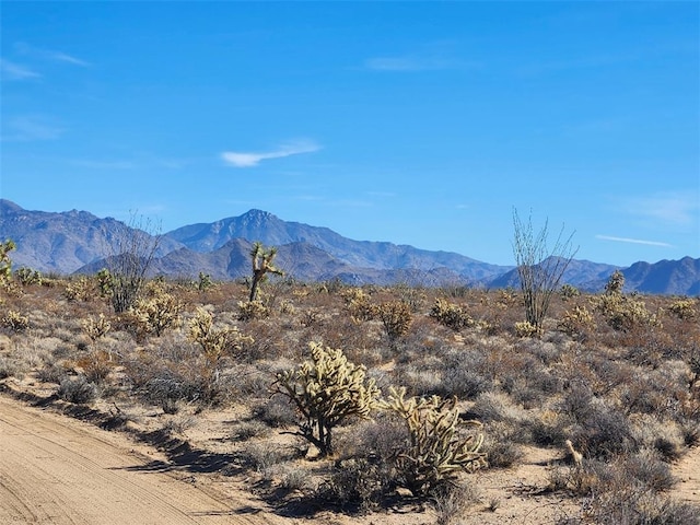16858 S Butch Cassidy Rd, Yucca, AZ 86438 - photo 6