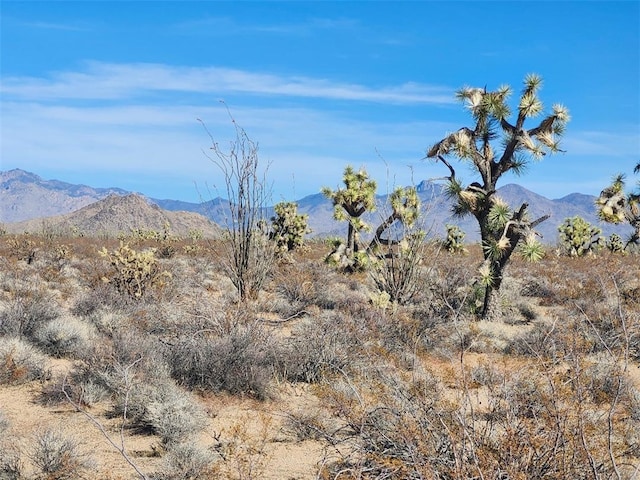 16858 S Butch Cassidy Rd, Yucca, AZ 86438 - photo 4