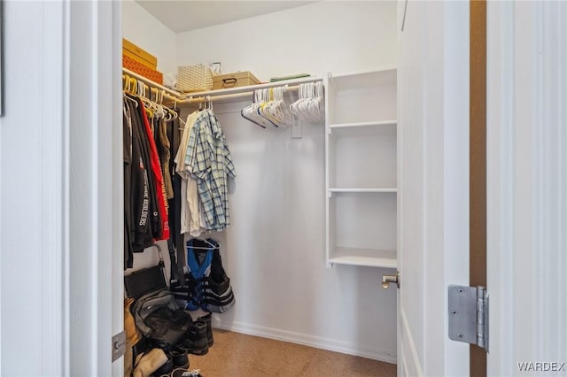 walk in closet with carpet floors