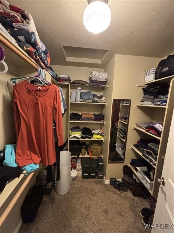 spacious closet with carpet floors