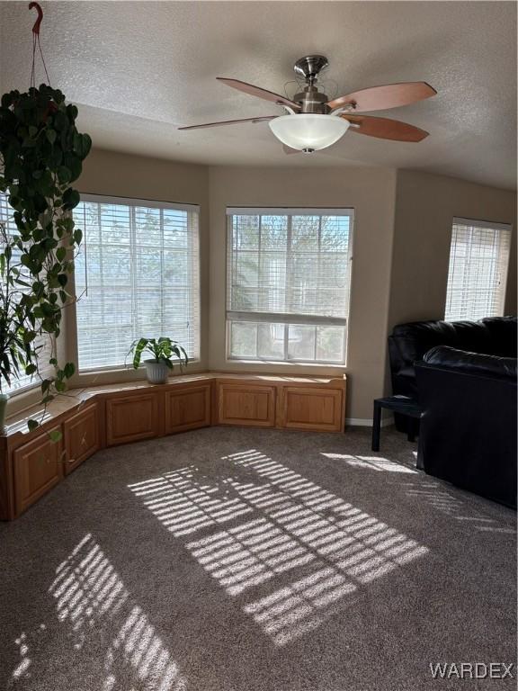 interior space with a ceiling fan, carpet flooring, a wealth of natural light, and a textured ceiling